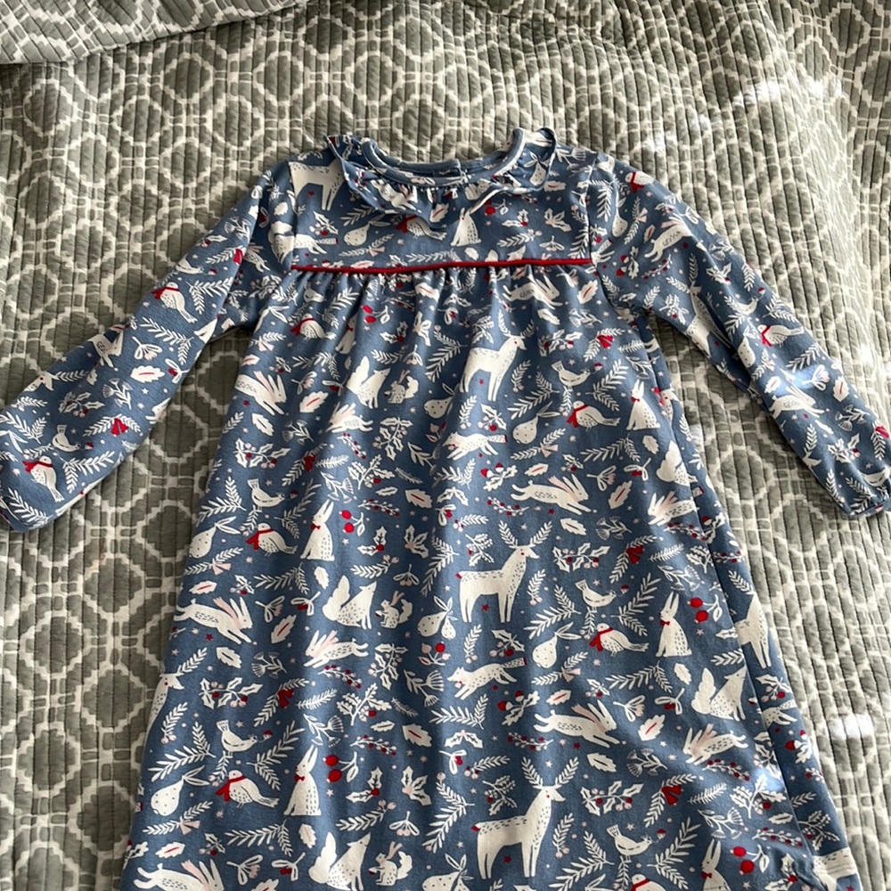 Super cute Biden holiday dress